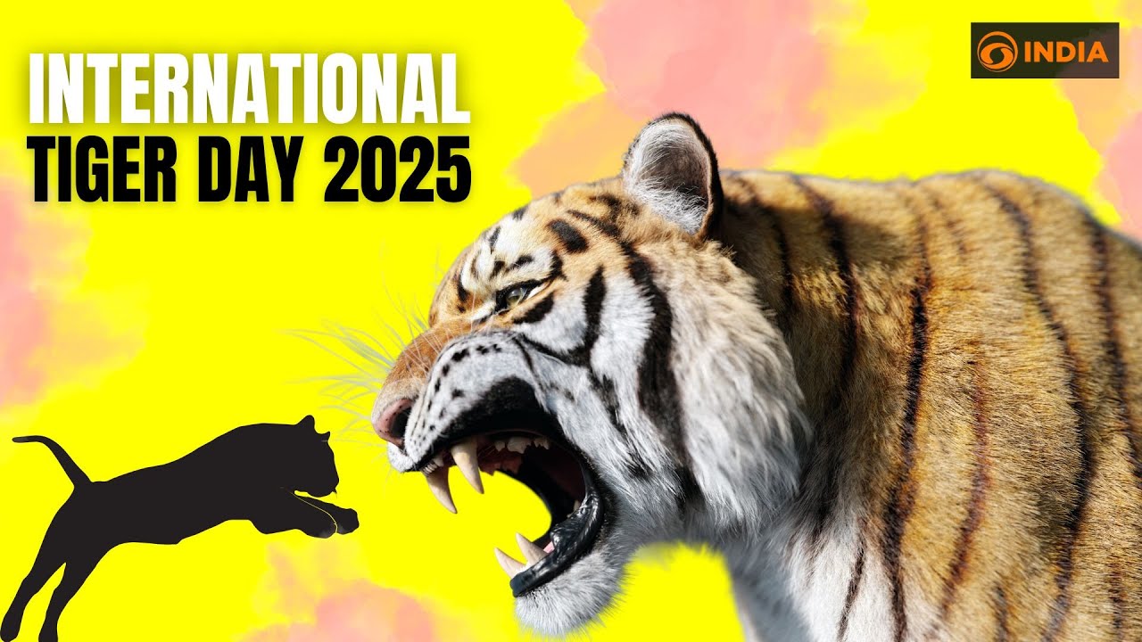 Roar for the Wild 🐯 Celebrating International Tiger Day 2025 ✨