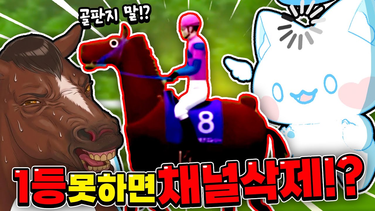 채널 걸고 ‘8번 말’ 몰빵했는데…결과가 미쳤습니다😱
