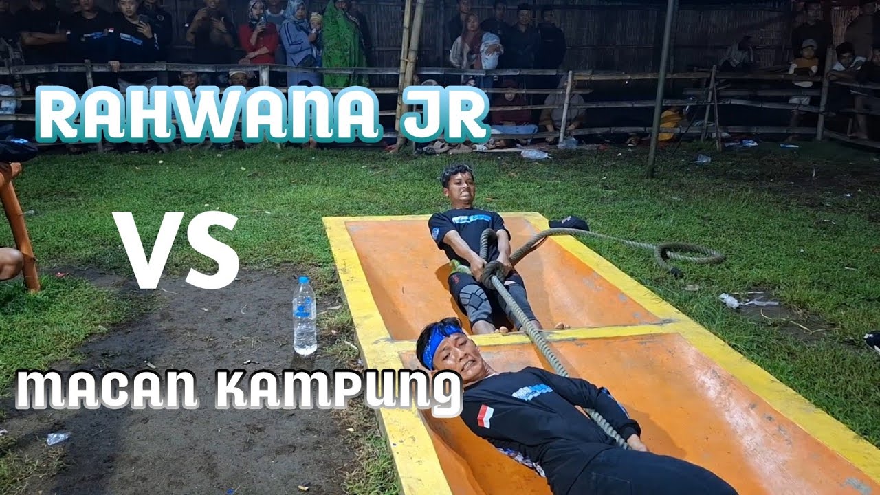 RAHWANA JR BANYUANYAR VS MACAN KAMPUNG TIGASAN KLS 55 TARIKTAMBANG GUNUNGGENI PROBOLINGGO