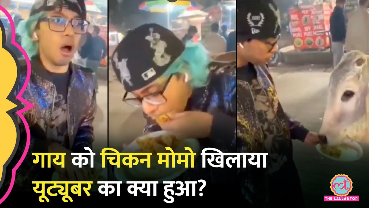 Gurugram में 3 हज़ार के लिए YouTuber ने गाय को Chicken Momo खिलाए, हिंदू संगठन ने FIR दर्ज करा दी