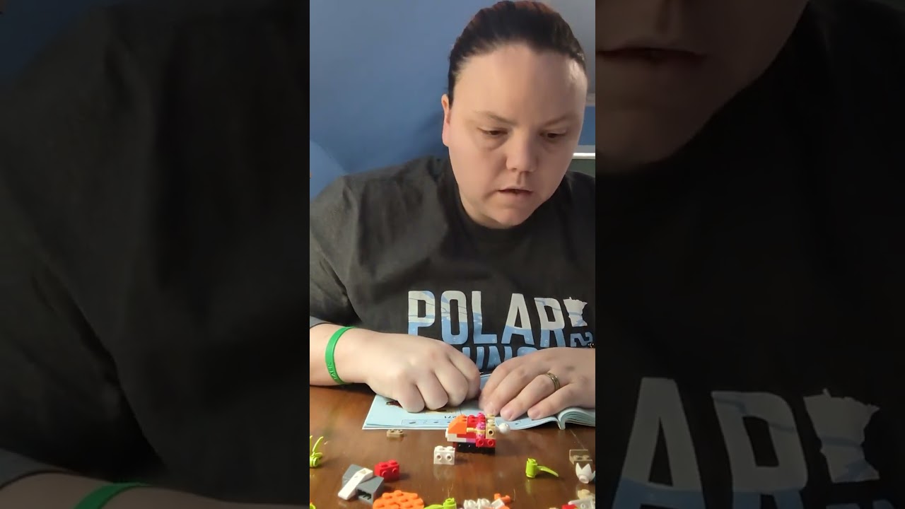 Tiger Legos 