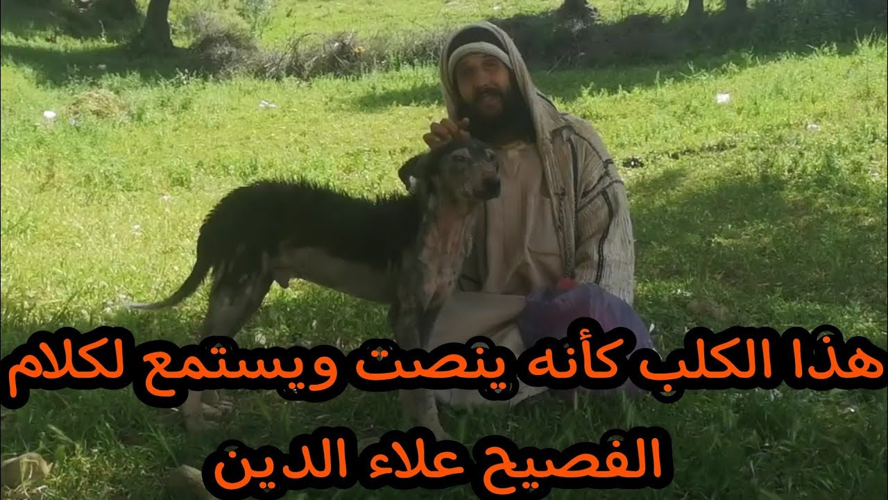 مع علاء الدين المعلم كن إنساناً لا تكن كلباً وبمعنى آخر كلب صديق خير من صديق كلب