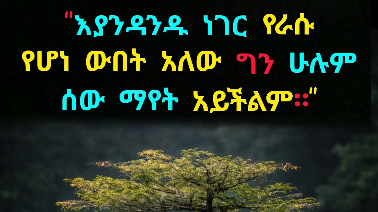 ''እያንዳንዱ ነገር የራሱ የሆነ ውበት አለው ግን ሁሉም ሰው ማያት አይችልም::''