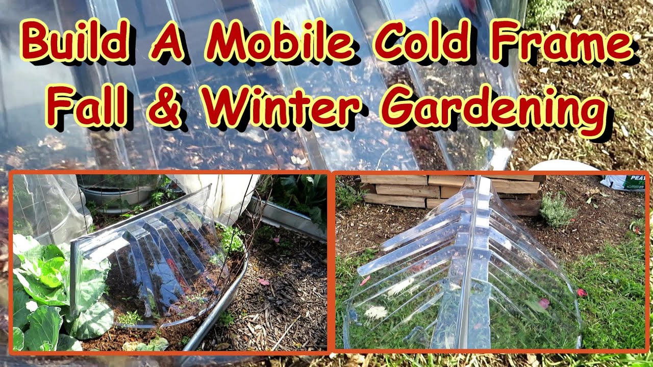 Build A $20 Mobile Cold Frame From Window Well Covers: Garden Through Fall, Winter & Start Early!