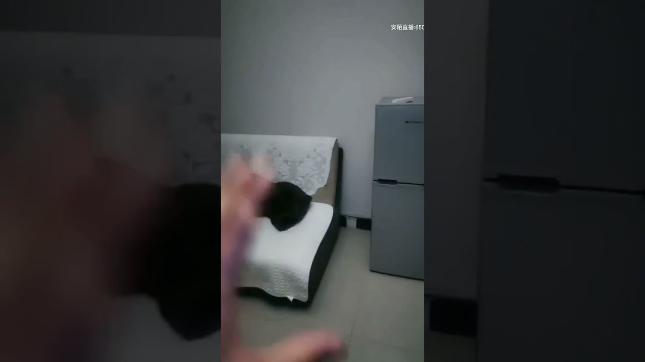 户外探险大壮 凶宅