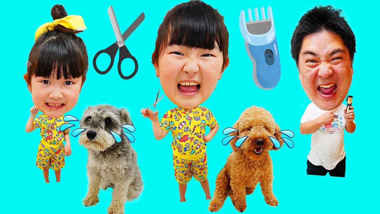 【寸劇】家でペットサロン！犬トリミングをやってみた！ - はねまりチャンネル