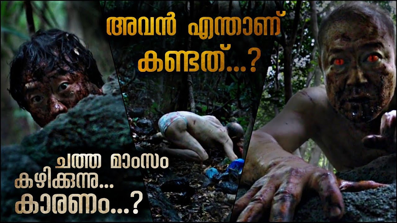 കൊല നടത്തുന്നത് പലആളുകൾ, പക്ഷേ എല്ലാത്തിനും ഒരു സ്വഭാവം | കൊലയാളി ഉന്മാദാവസ്ഥയിൽ  | Mallu Explainer