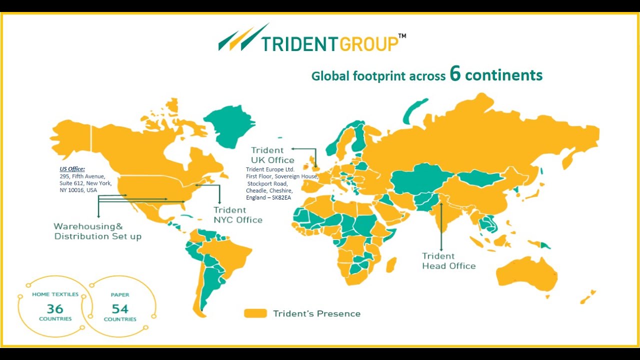 Trident stock  fundamental analysis and and future prospects