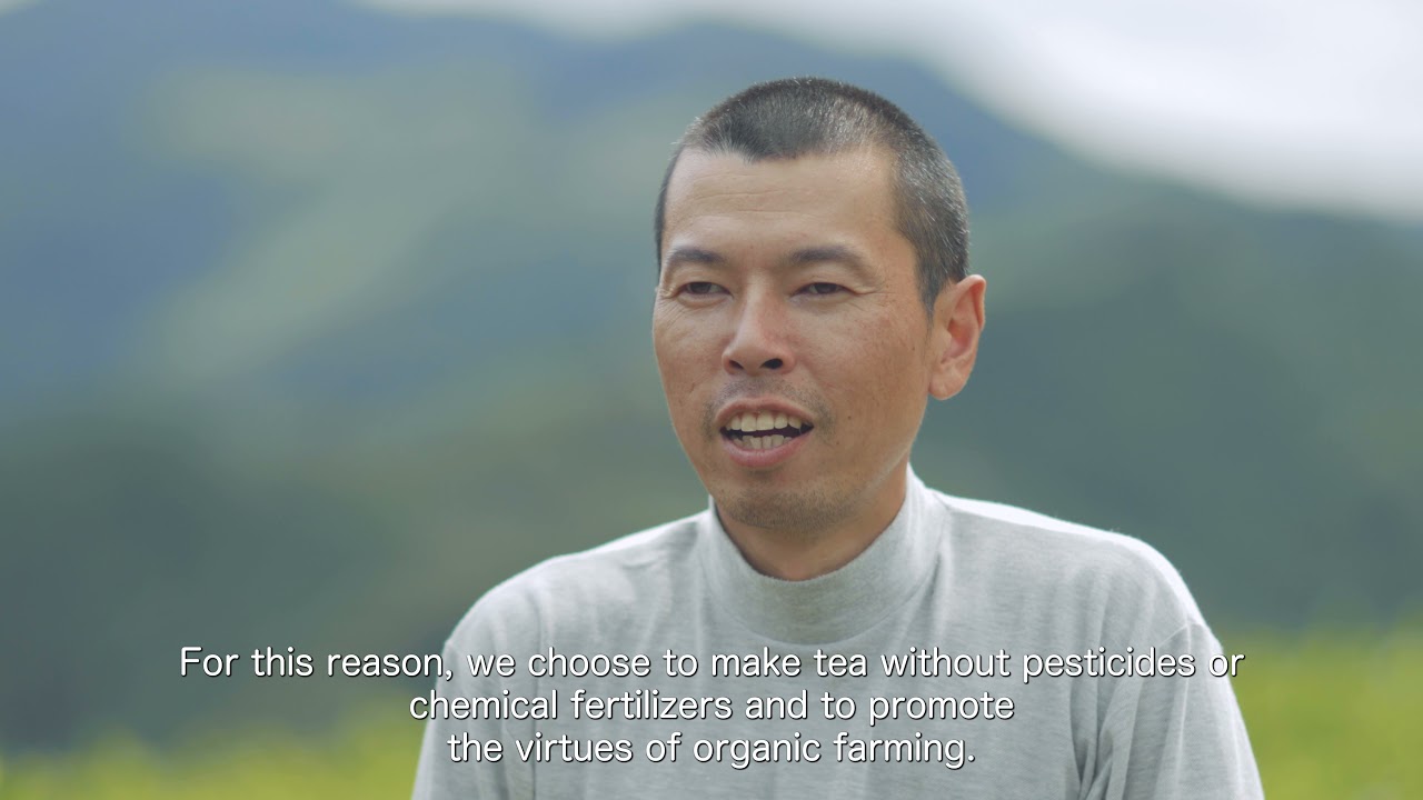 NATURALITEA~Japanese organic tea
