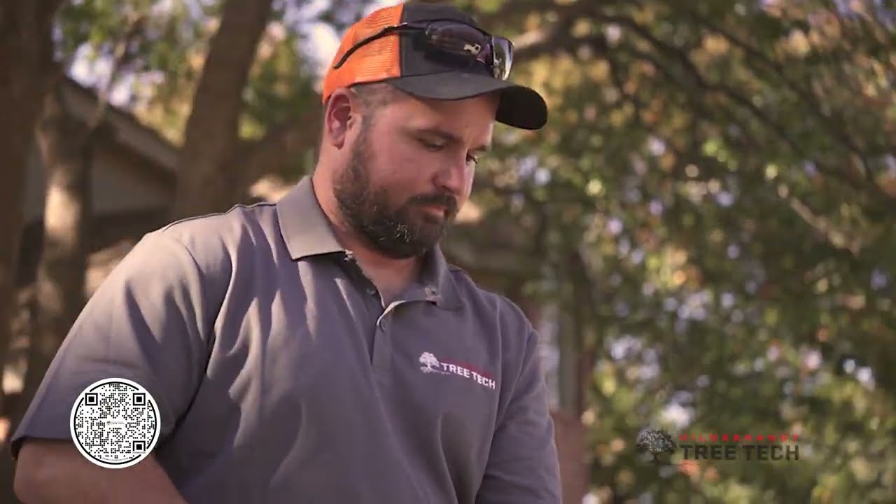 Hildebrandt Tree Tech - Be Your Tree's Hero!