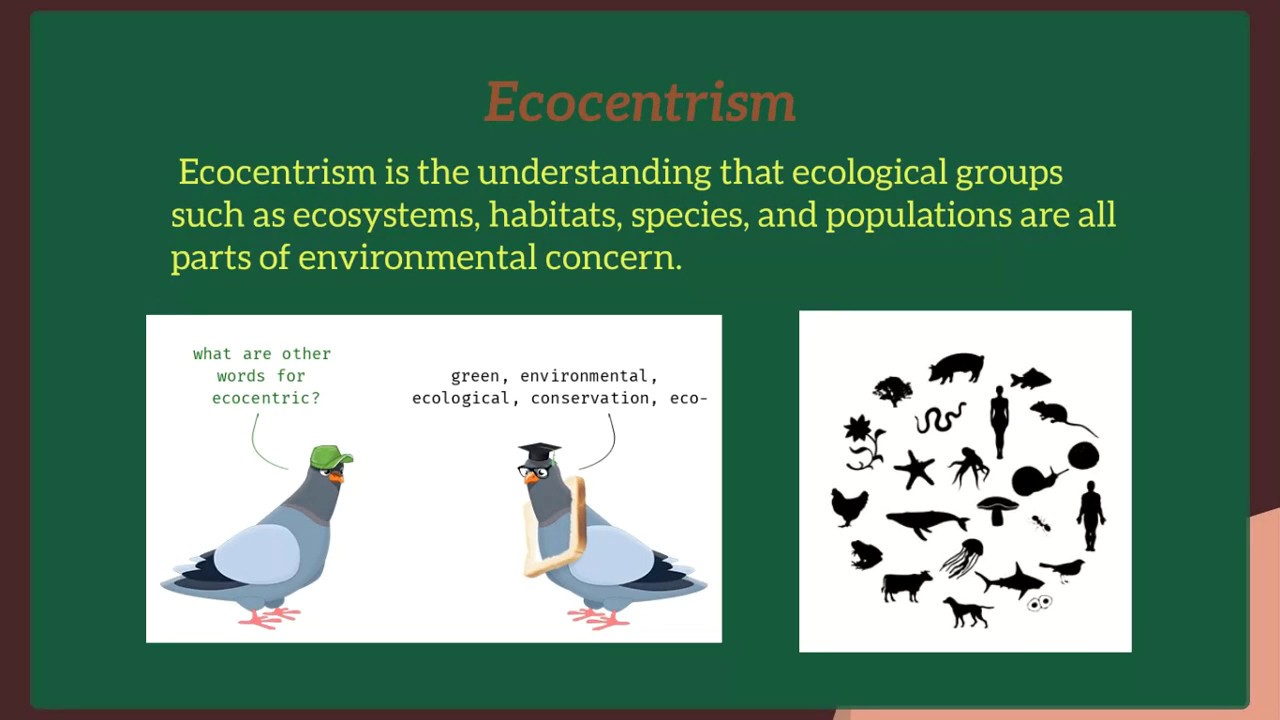Environmental Ethics