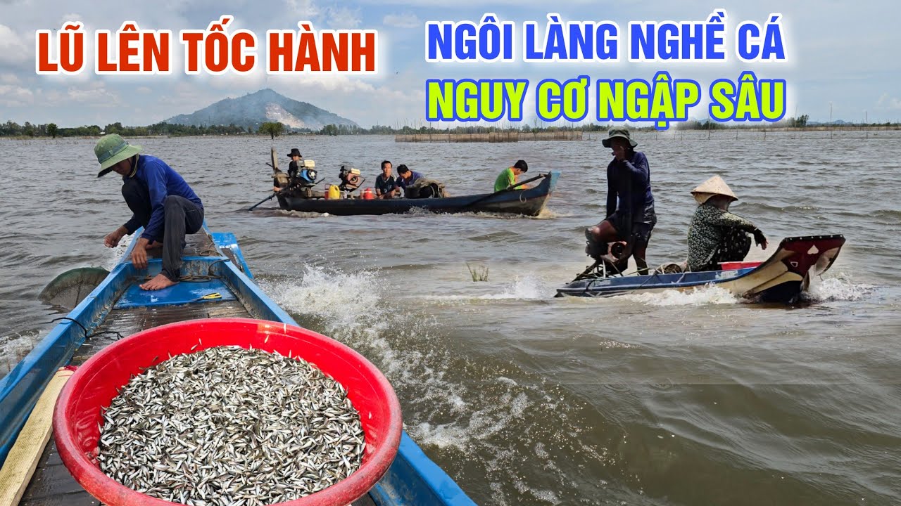 NƯỚC LŨ LÊN TỐC HÀNH NGUY CƠ NGẬP SÂU - NGÔI LÀNG NGHỀ CÁ BIÊN GIỚI CAMPUCHIA ĐÃ KHÔNG CÒN BÌNH TĨNH