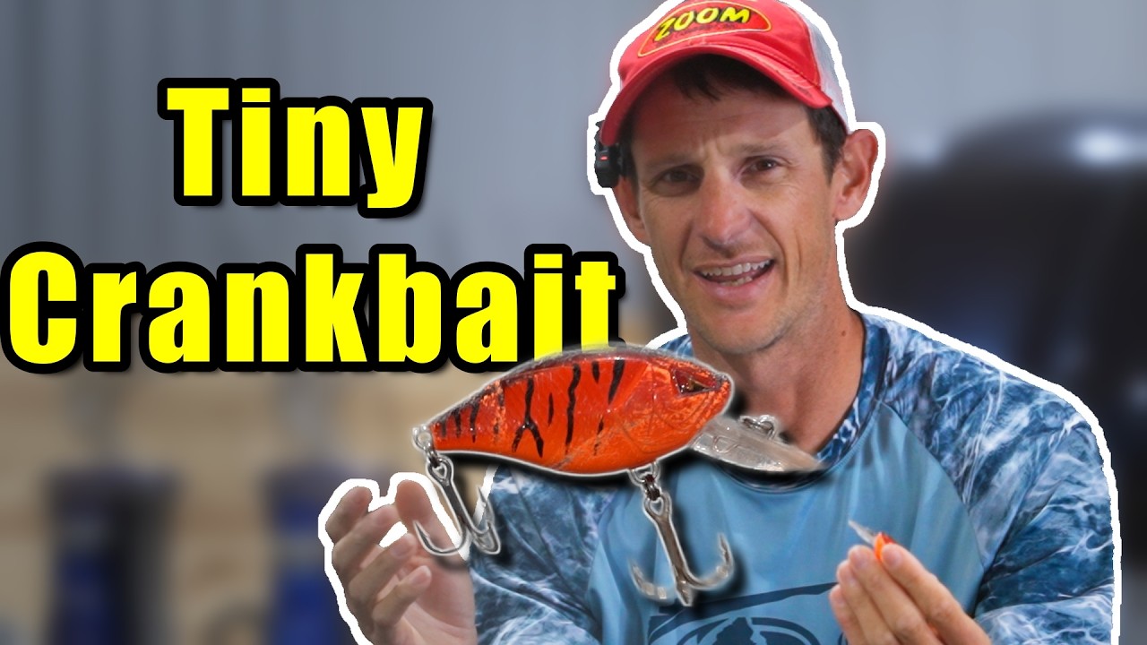 This Crankbait Caught Every Fish in the Lake