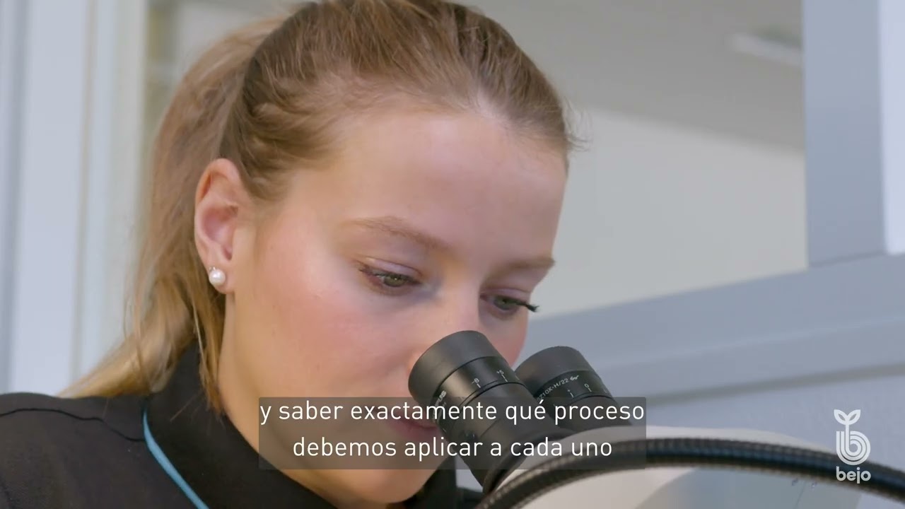 Bejo seed quality tour - Subtítulos en Español