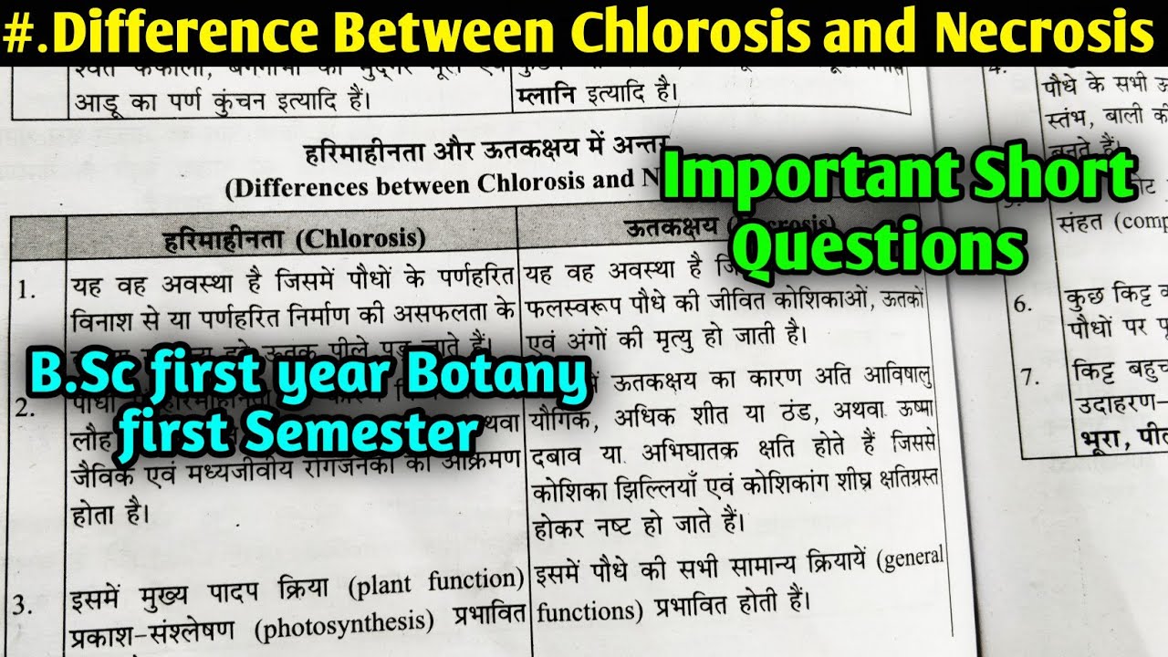 Difference between Chlorosis and Necrosis || Plant pathology || B.Sc first year Botany 1st semester