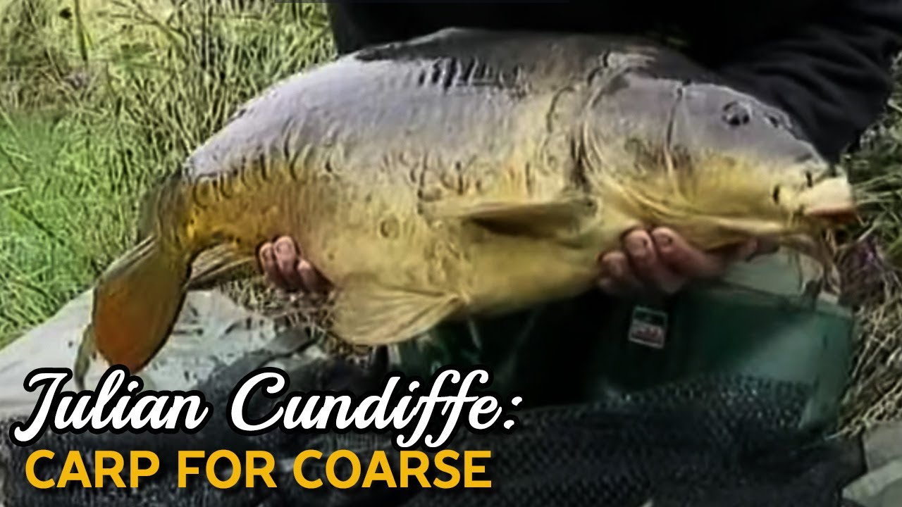 Julian Cundiffe: Carp for Coarse