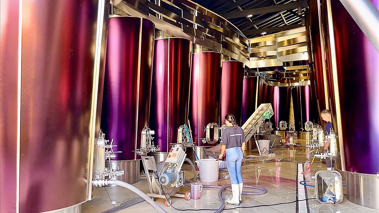Chateau La Gaffelière Winery Vineyard visit Walk arounds @ Saint Emilion Bordeoux France 🇫🇷
