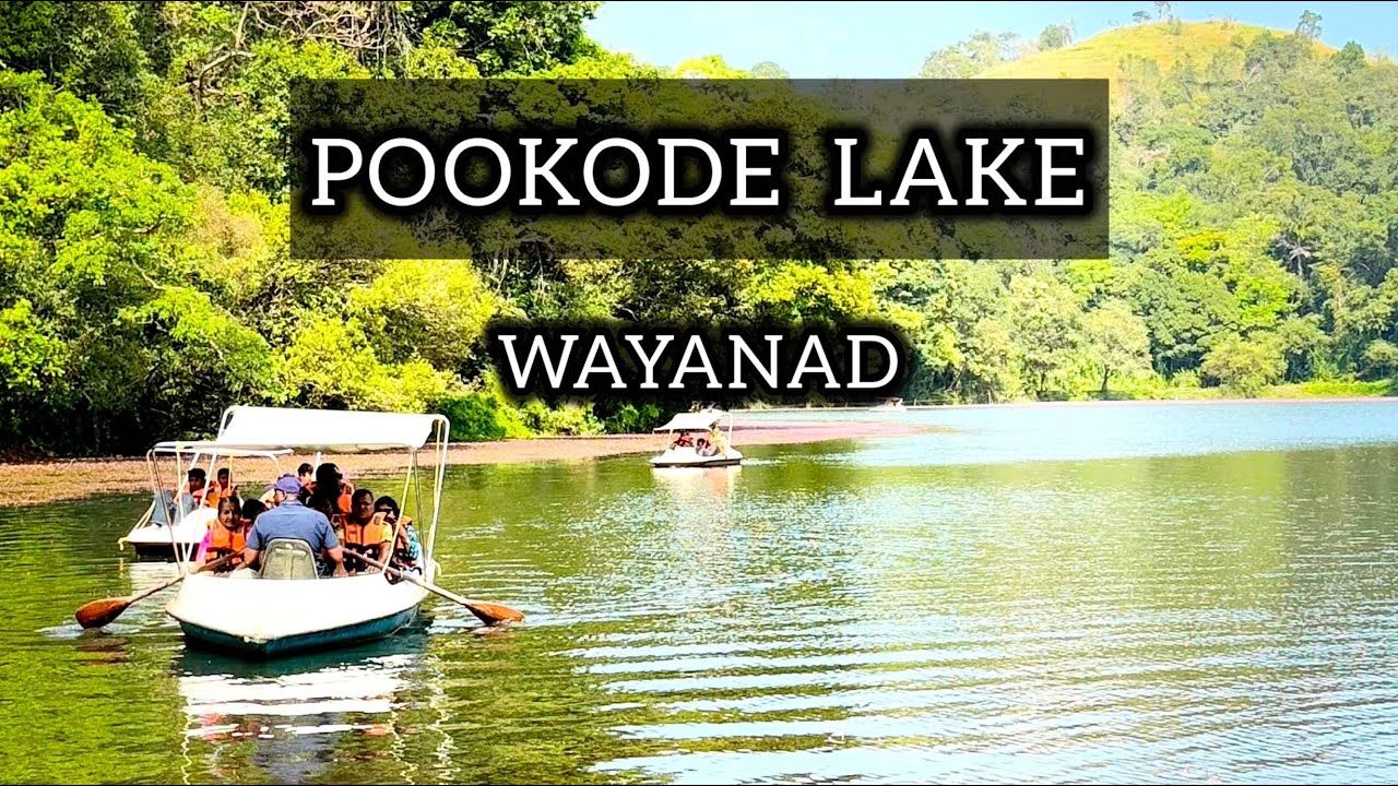 Pookode Lake | Wayanad | wayanad tourist places | wayanad places to visit | wayanad vlogs