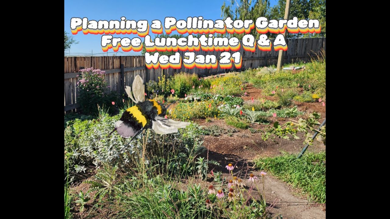 Lunchtime Q & A  Planning a Pollinator Garden   2026 01 21