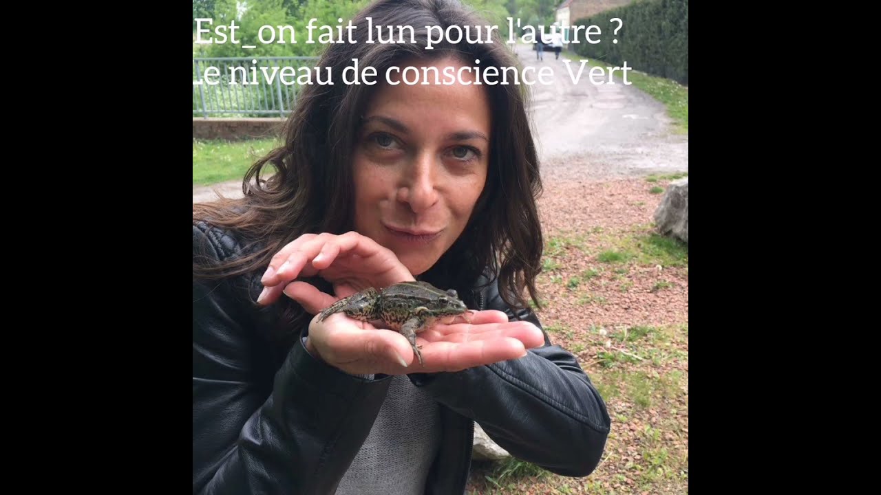 81. Les niveaux de conscience en amour: le niveau VERT