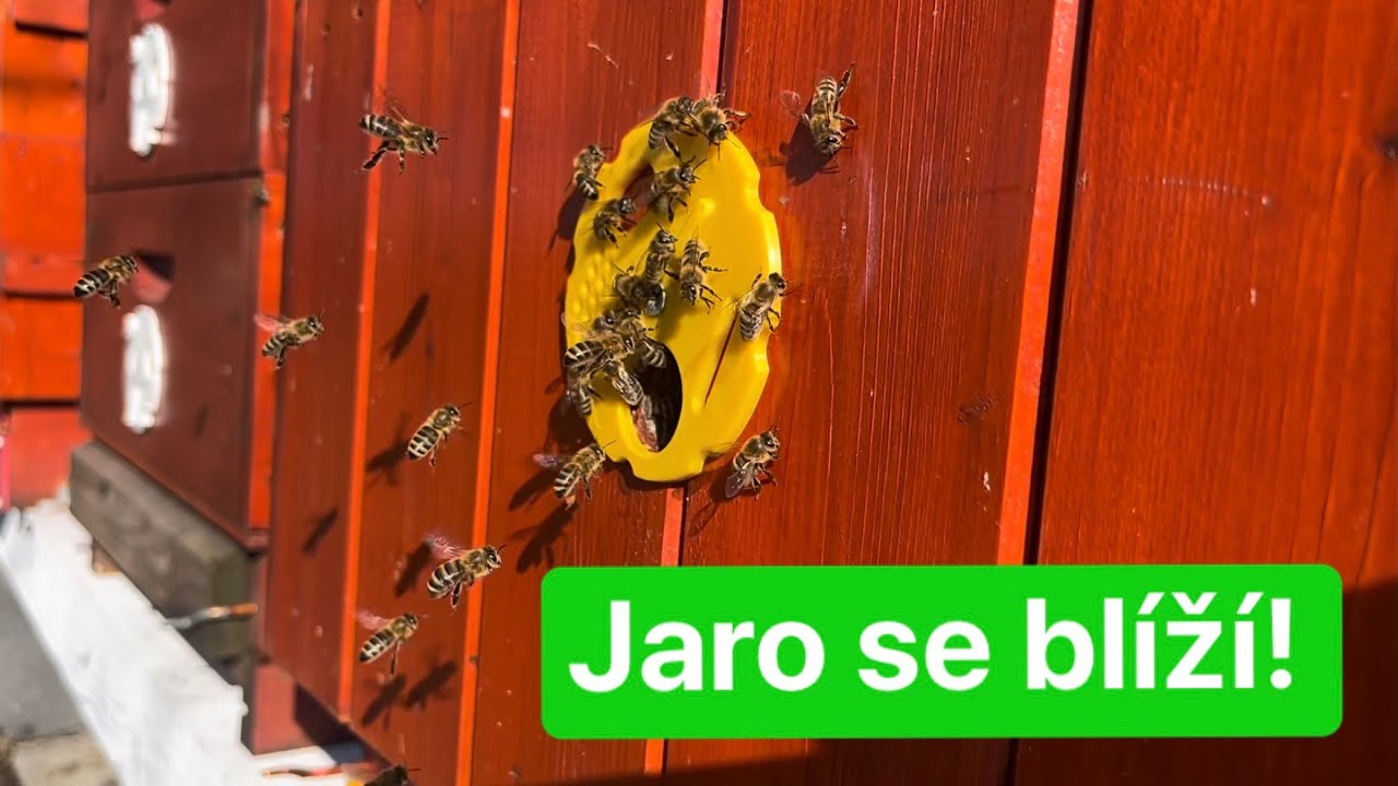 První menší prolety letošního roku - 650 m.n.m., 9 stupňů, 24.2.2025