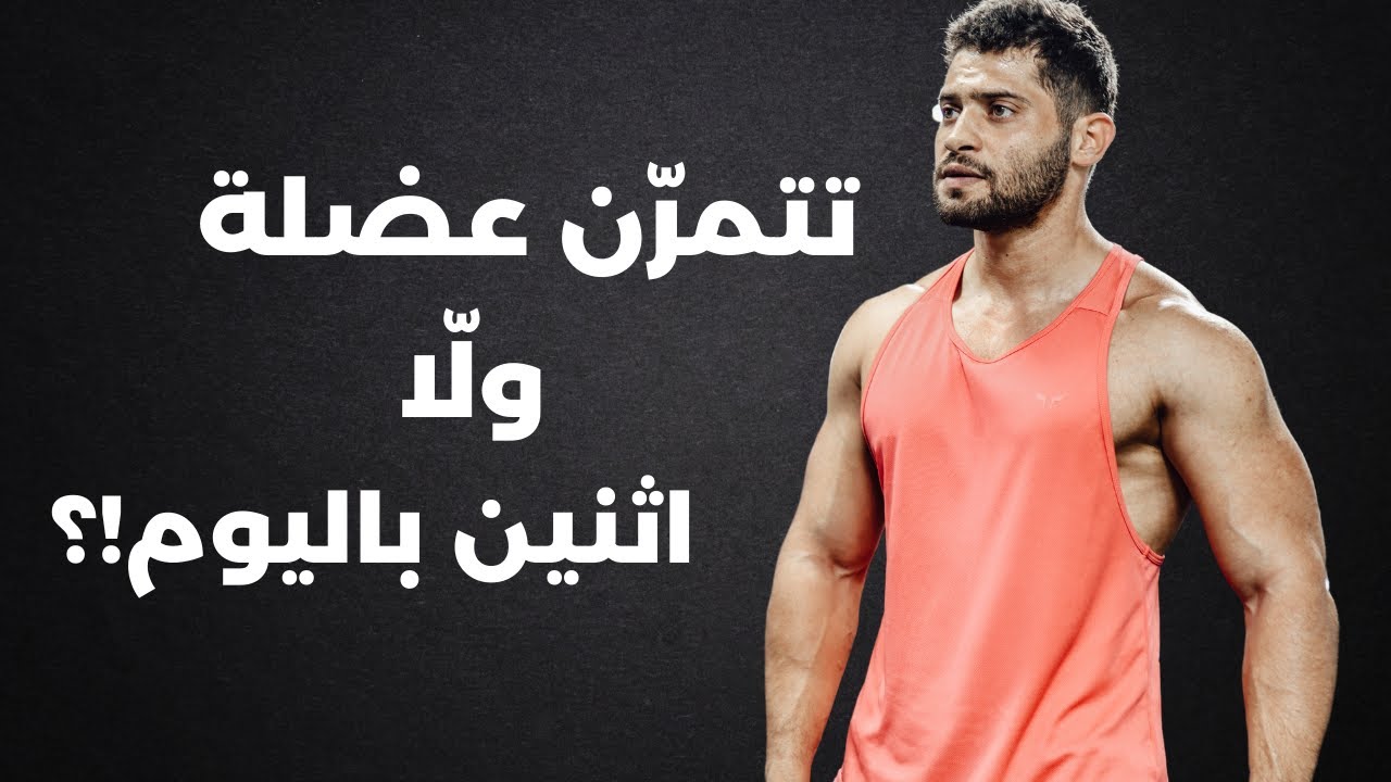 أيهما أفضل جدول عضلة ولا عضلتين باليوم مع جدول تمرين كامل
