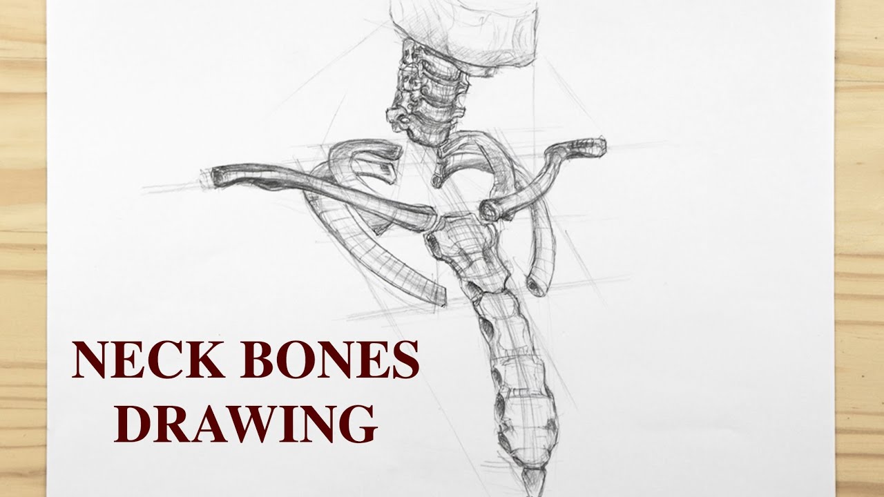 ¾ view Neck Drawing – Episode 3: SHADOW DRAWING - Advanced Anatomy for Artists