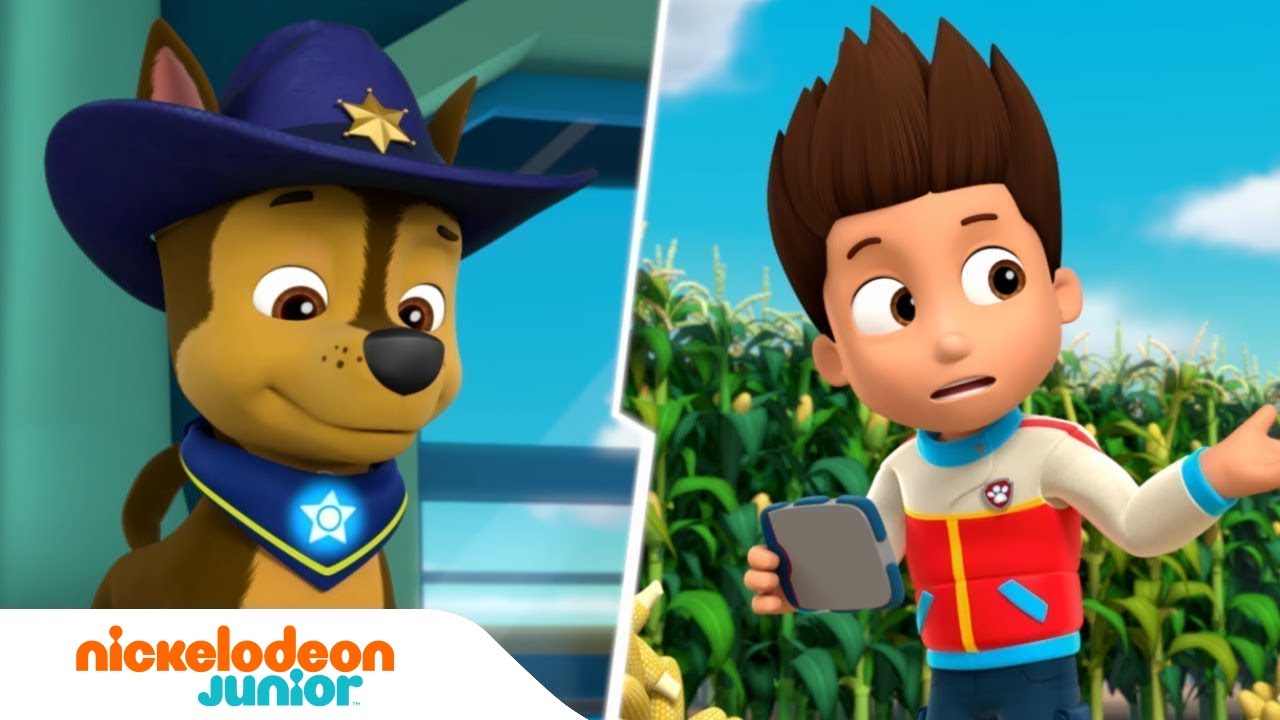 La Pat' Patrouille | La Pat' Patrouille doit sauver Galinetta | Nick Jr.