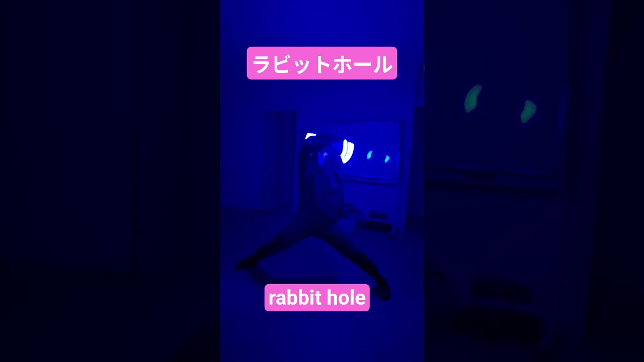 ラビットホール　rabbit hole 