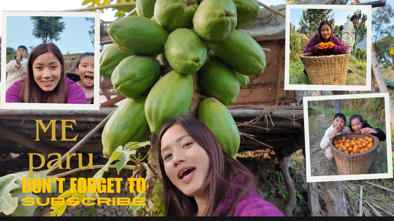Gaughar aaye paxi ta video ta aaunai paryo ni 