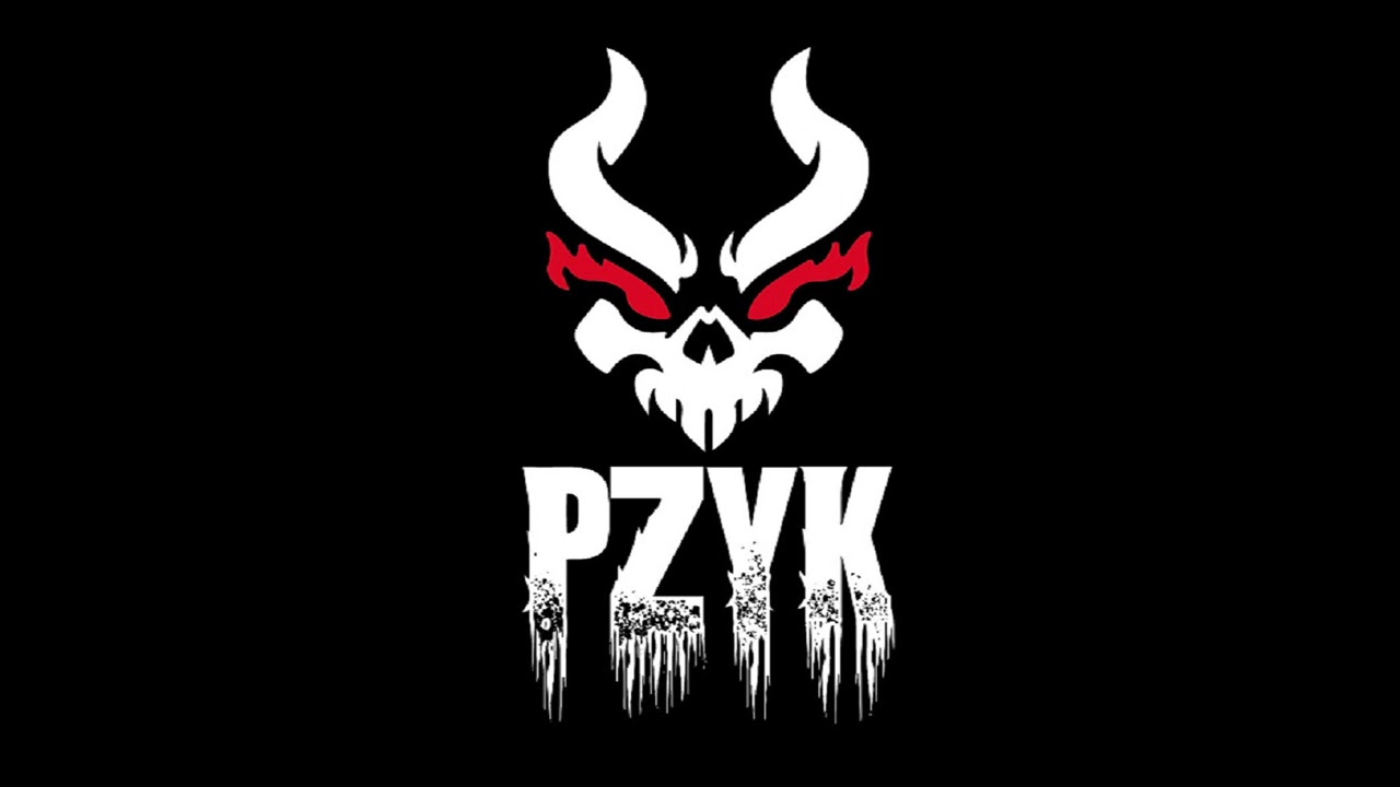 Pzyk  -  Tausend Regeln