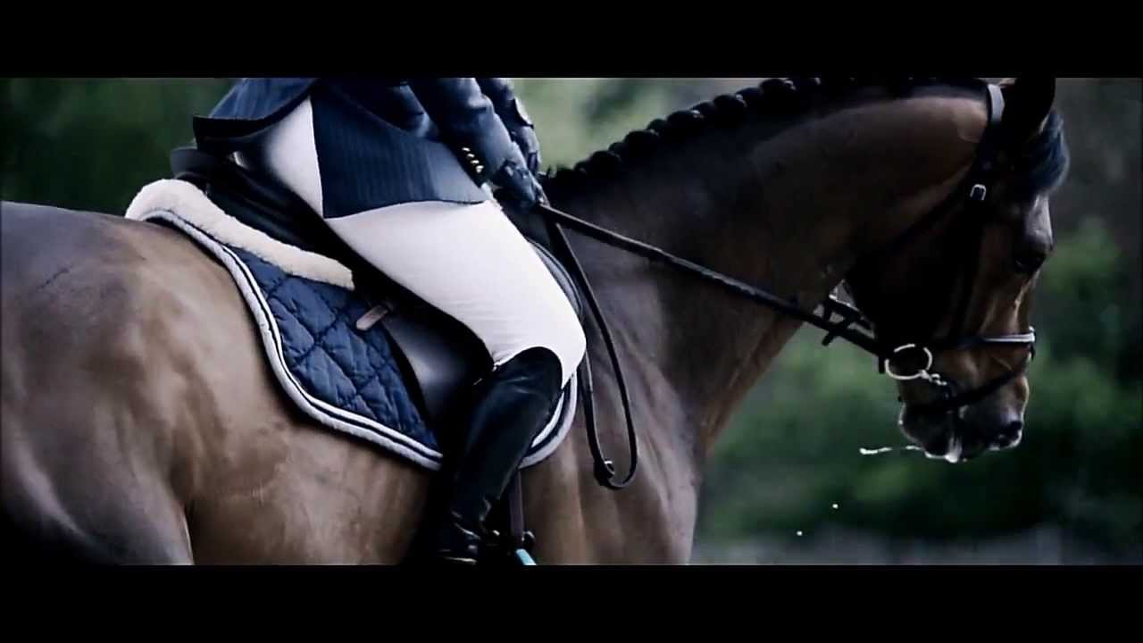 Equitation , bien plus qu'un sport , une passion ...