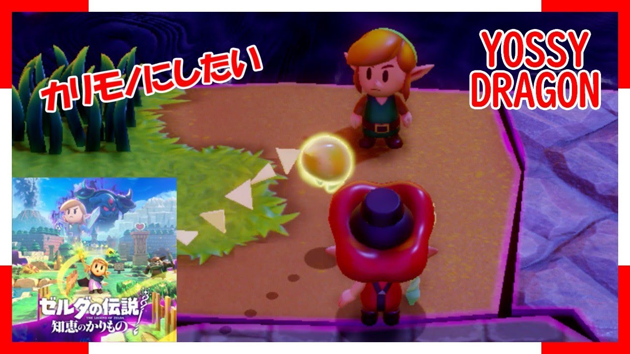 【NS】ゼルダの伝説 知恵のかりもの No.37