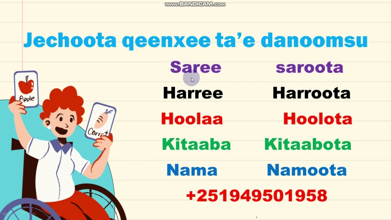 Barnoota Afaan Oromoo Qeenxee Danoomsuu