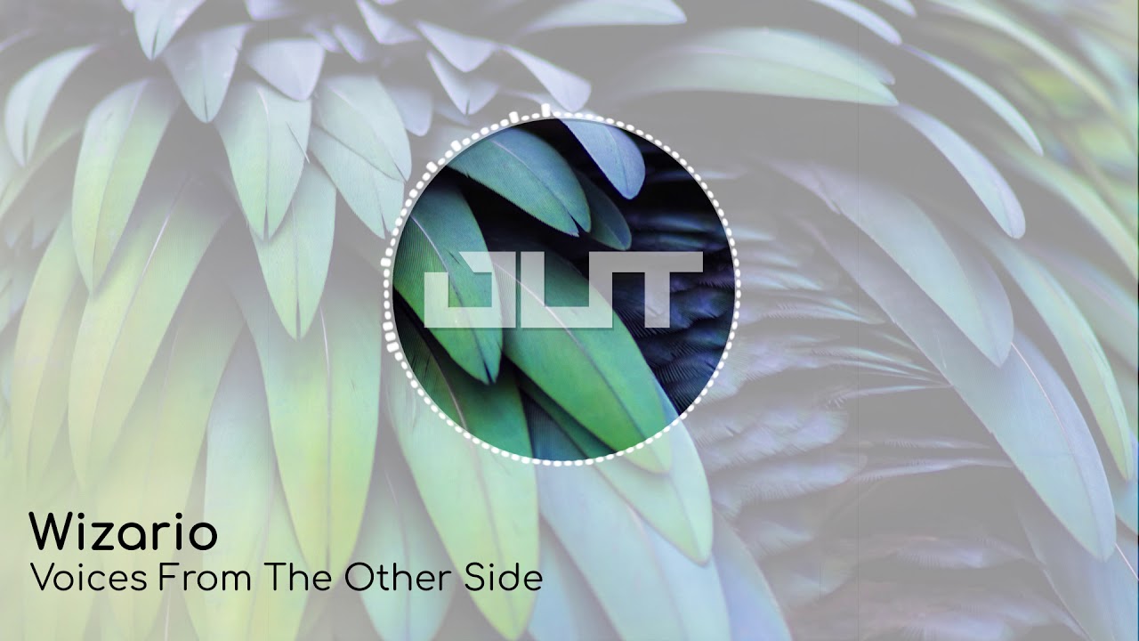 Wizario - Voices From The Other Side [Outertone Free Release]