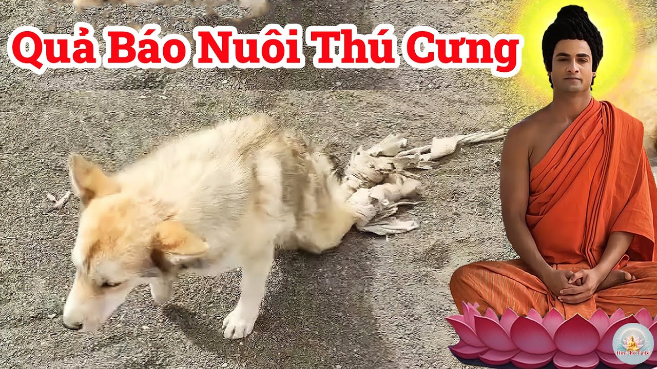 Nuôi Thú Cưng Sẽ Bị Tái Sinh Thành Súc Sinh? Lời Cảnh Tỉnh Sốc của Đức Phật Ai Cũng Nên Nghe!