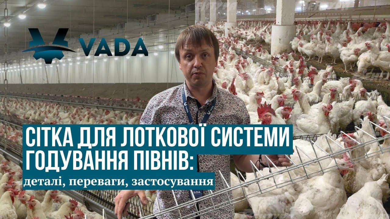Сітка для лоткової системи годування півнів: деталі, переваги, застосування | VADA
