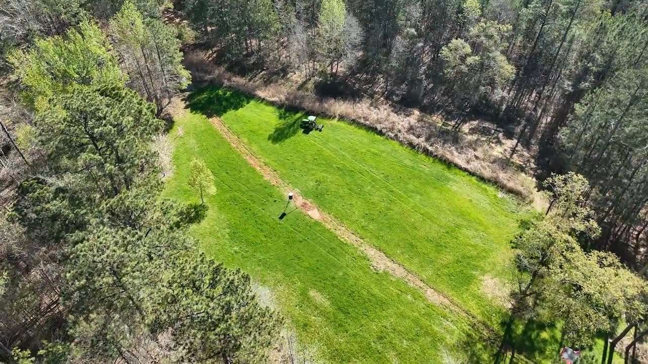 Alabama Switch Grass For Deer and Turkey - The Management Advantage
