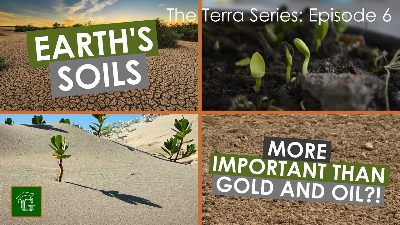 Earth's Soils (MUST-KNOW Basics)