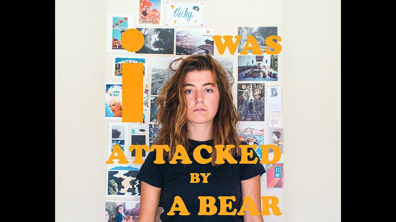 i was attacked by a bear | voxkwak