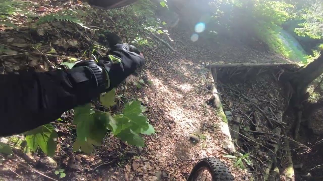 Feuerkogel Downhill 2021 Part 4 *uncut*