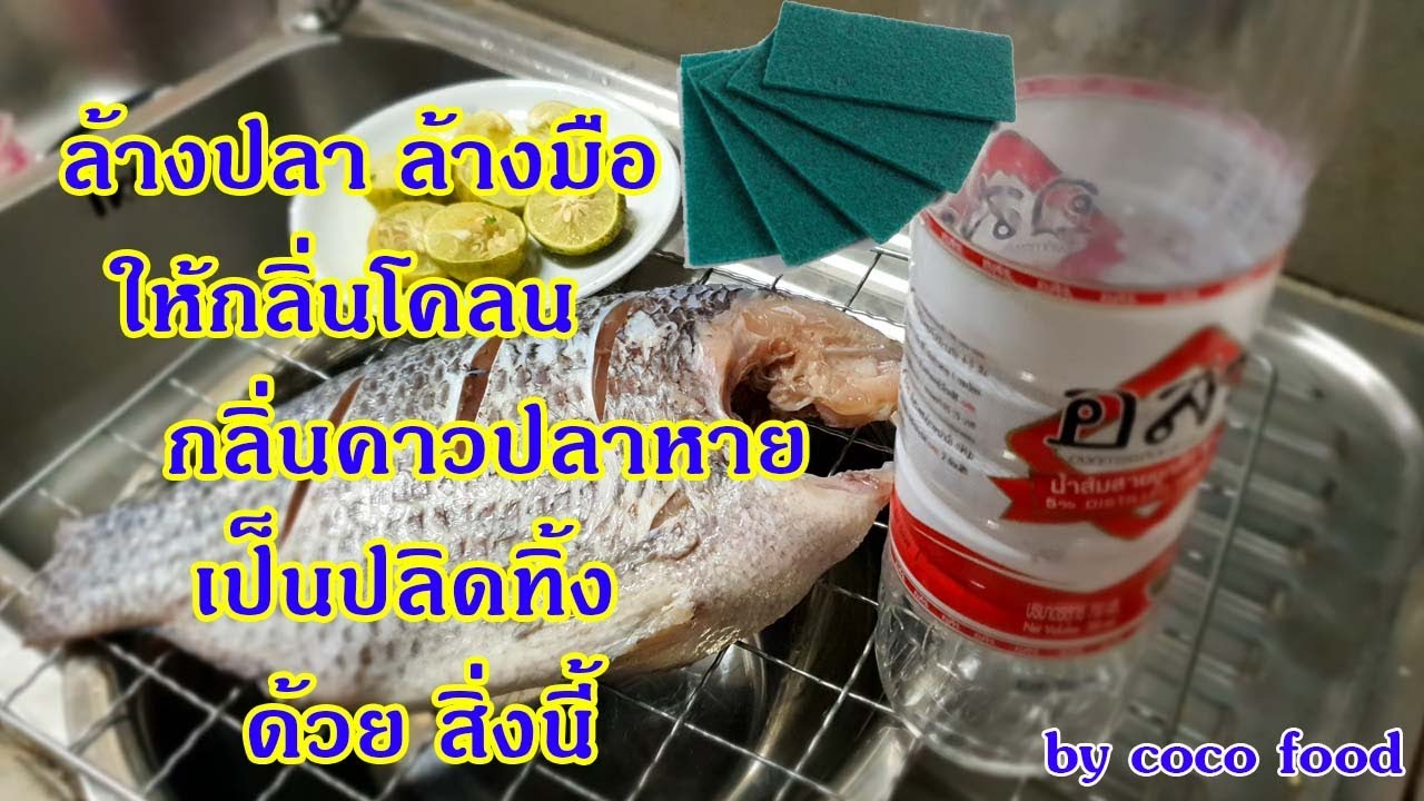 เคล็ดลับ ล้างปลา ล้างมือ กลิ่นคาวหายเป็นปลิดทิ้ง 