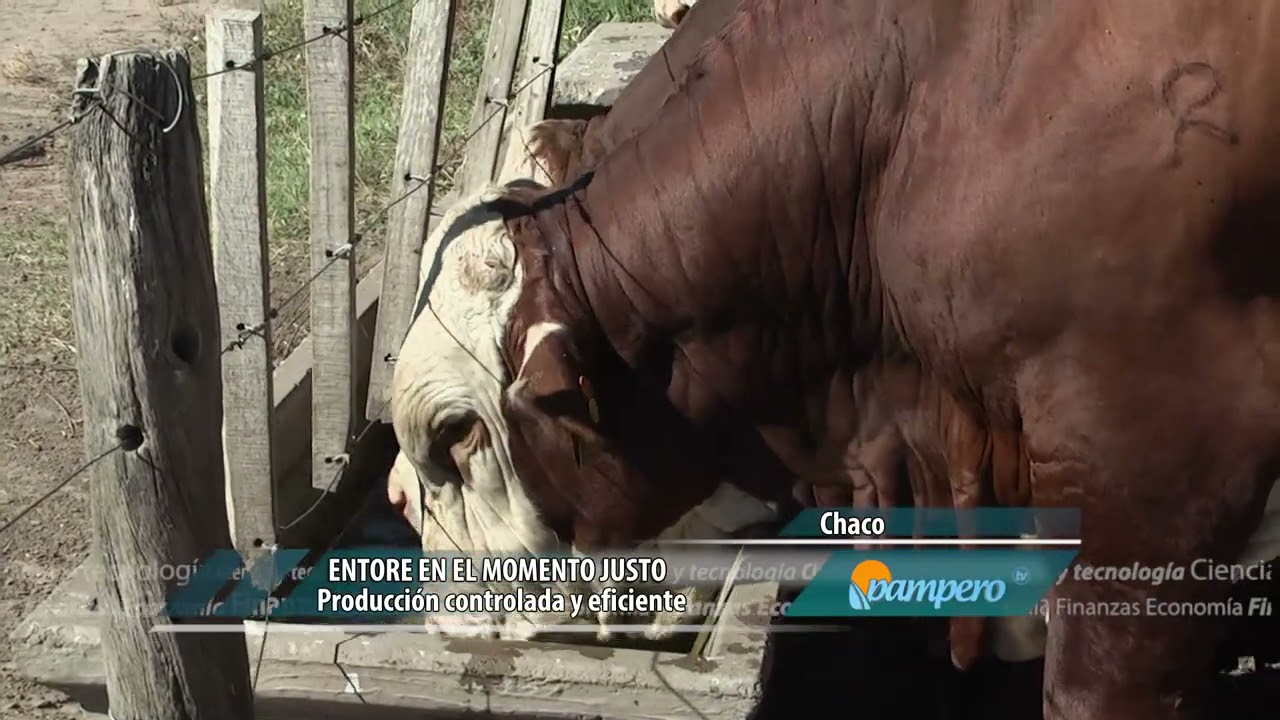 Entore en el momento justo