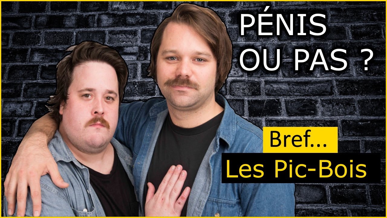 Voila Les Pic Bois (Partie #1)