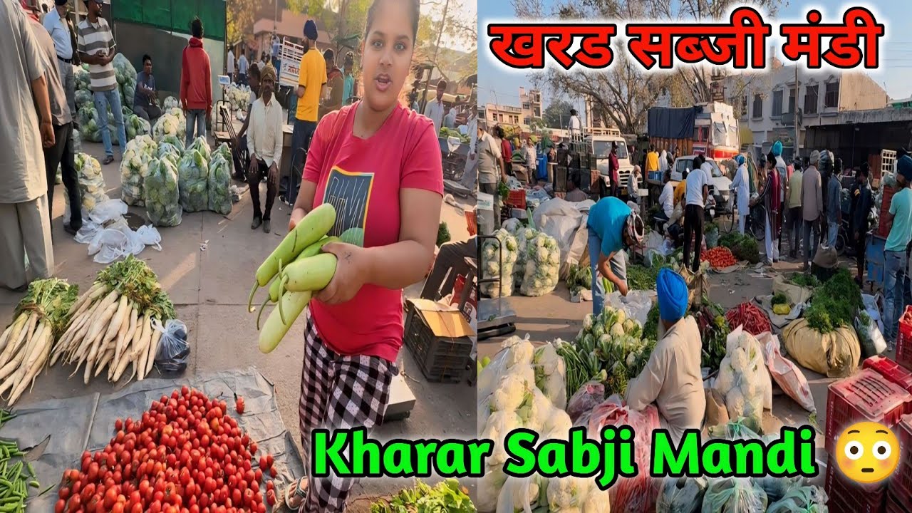 Mohali Kharar Sabji Mandi 😳 खरड़ सब्जी मंडी | Dhiman Family Vlogs | #viral #mohali #trending #viral
