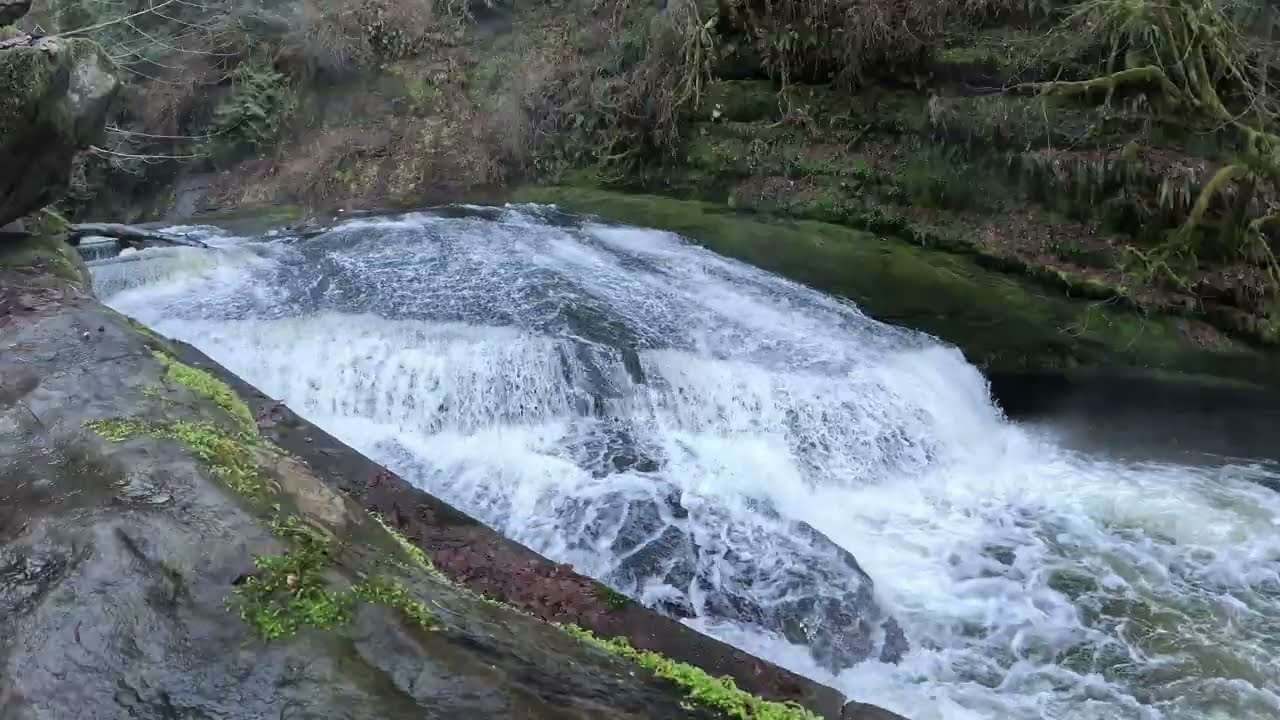 Relax The Mind And Body To Flowing Water Sounds (Sights And Sounds Of Lake Creek Oregon)