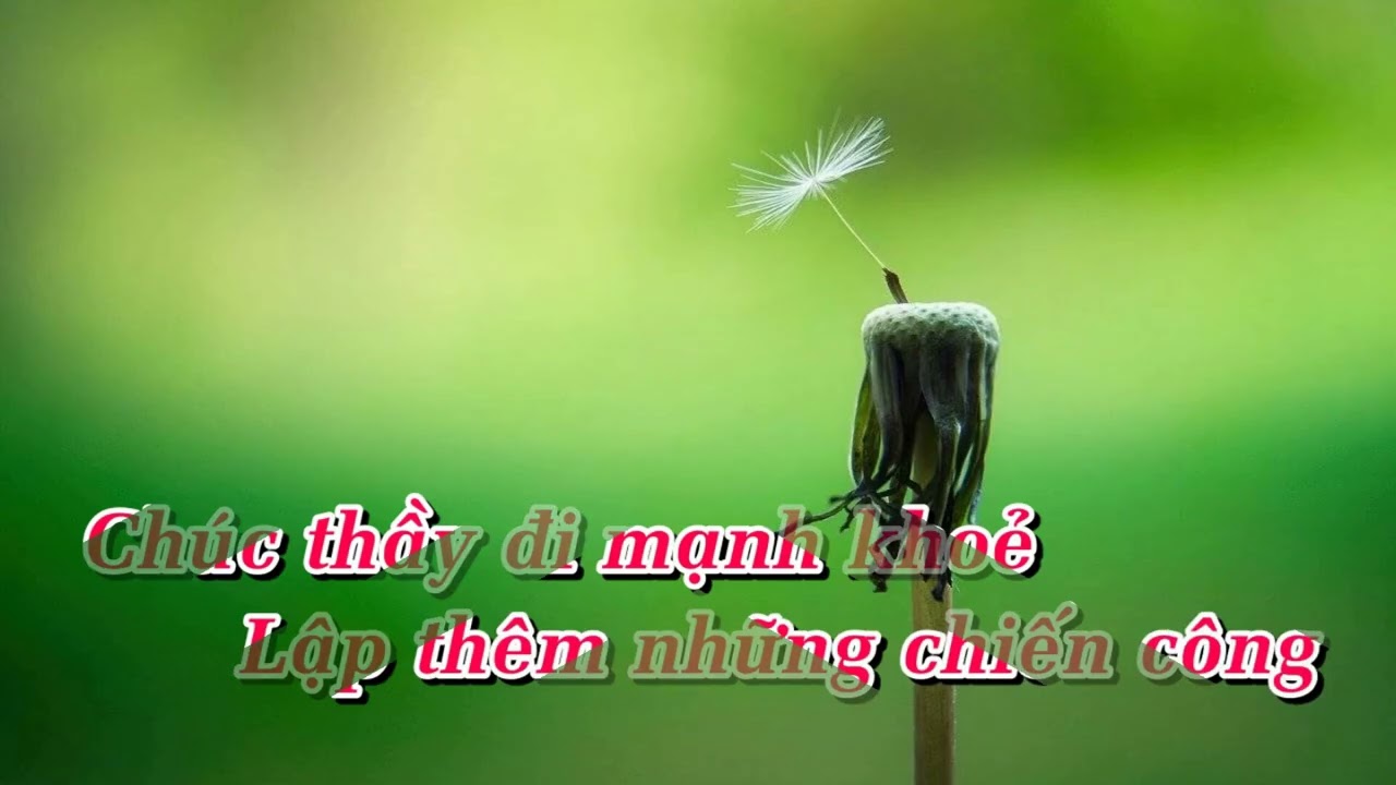 TIỄN THẦY ĐI BỘ ĐỘI KARAOKE - ĐỒ RÊ MÍ - THÙY DƯƠNG - THU AN