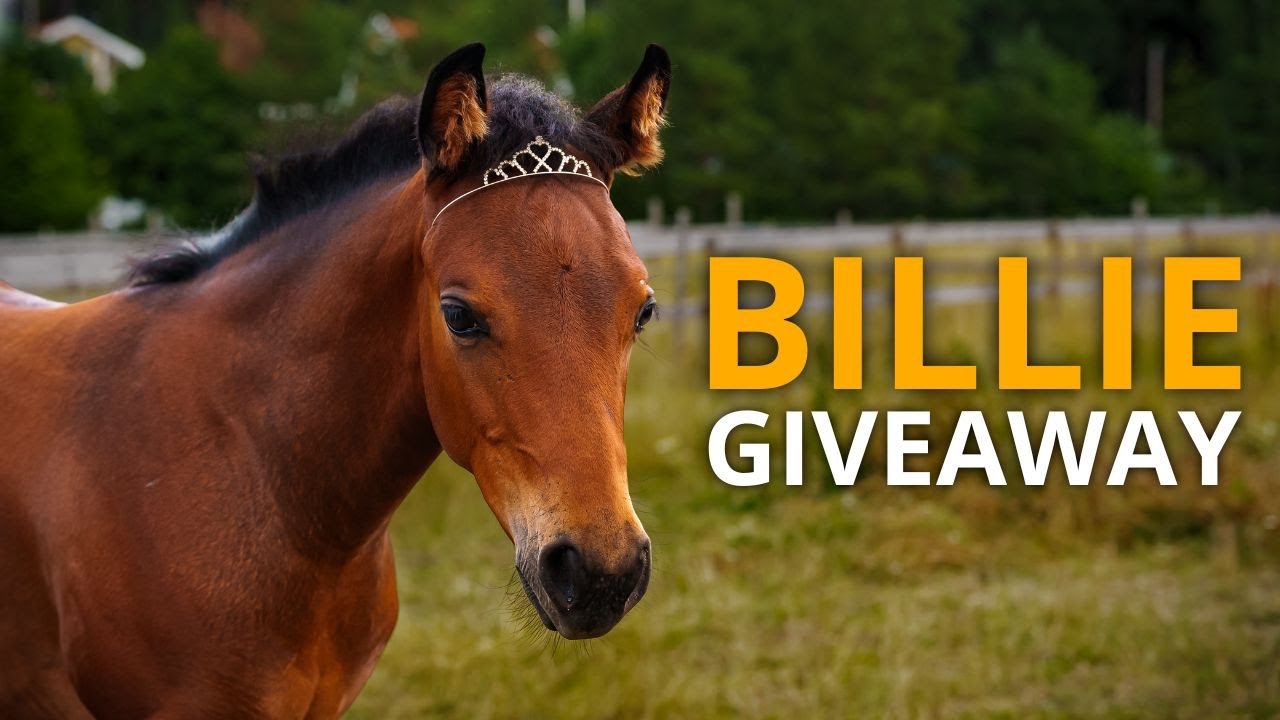 Celebrating the last episode! | Foaling Season Episode 15