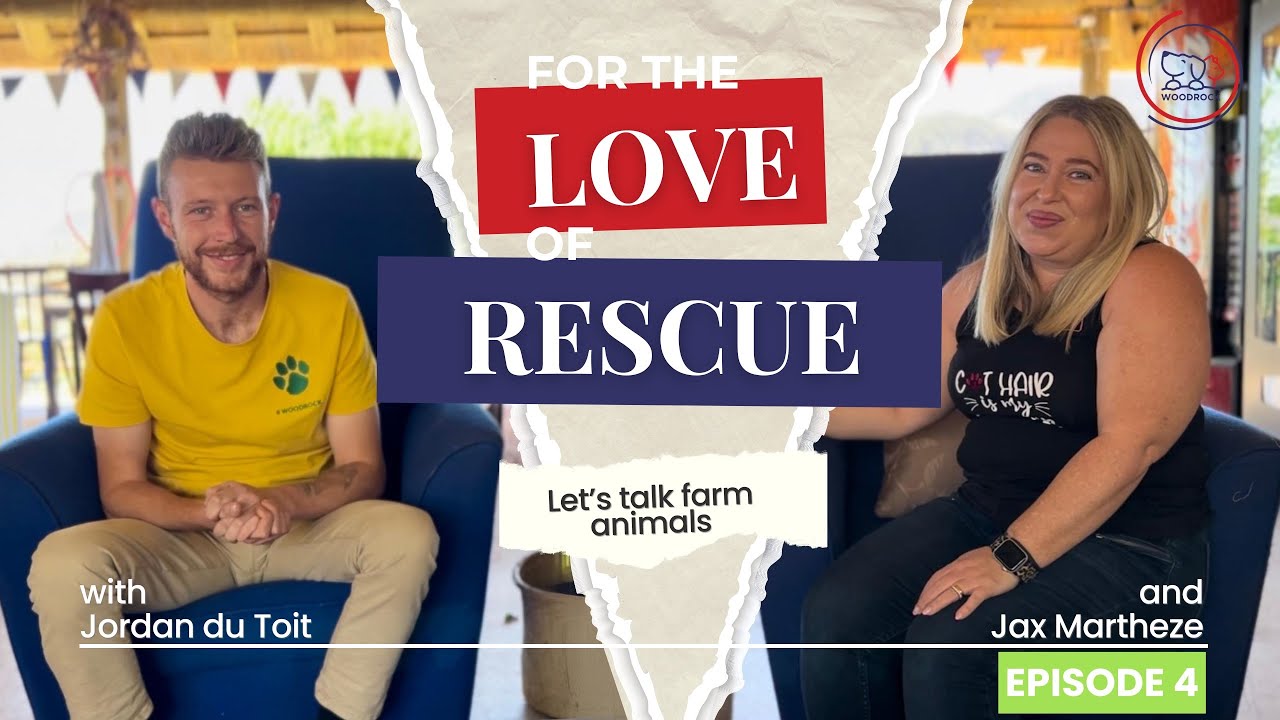 For the Love of Rescue: Life with Farm Animals