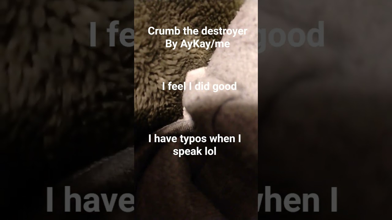 Crumb the destroyer, by AyKay 